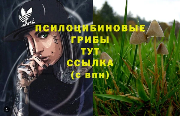метадон Арсеньев