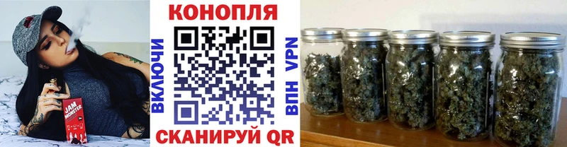 мориарти как зайти  Скопин  Шишки марихуана план 